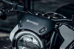 Flyscreen